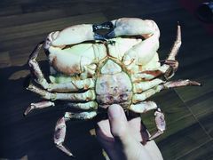 面包蟹-盒马鲜生(大成店)
