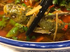 -院8里·少城记忆老川菜(宽窄巷子店)