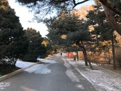 -北陵公园