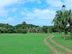 -鹅銮鼻公园