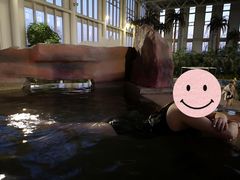 -中家鑫园温泉酒店鑫悦汤泉