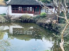-上海醉白池公园