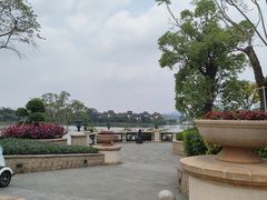-美的鹭湖森林度假区