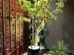 -金狮麟·新豫菜(杏石口路店)