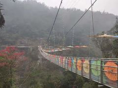 -九龙江国家森林公园