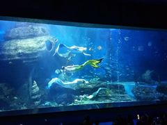 -多彩贵州城极地海洋世界