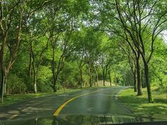 -天目湖涵田半山温泉