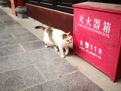 -凤栖山