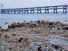 -星海湾跨海大桥