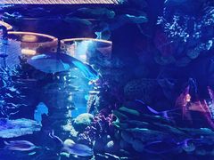 -迪拜帆船酒店海底餐厅