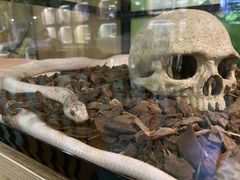 -藦茜花园宠物主题亲子互动体验馆(国顺东路店)