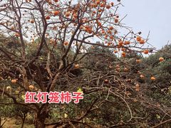 -南北湖风景区