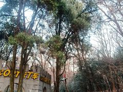 -WeLope紫金山探险公园