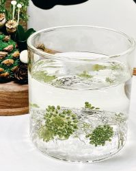 -Oasis Beauty水磨坊科技美肤中心