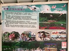 -广州长隆飞鸟乐园