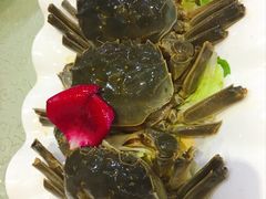 -南湖船菜大酒店