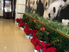 -成都驻京办餐厅(蜀都宾馆店)