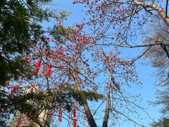 -晓港公园