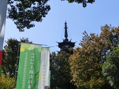 -上海佘山国家森林公园西佘山园