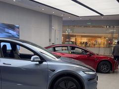 -TESLA 特斯拉(郑州正弘城体验店)
