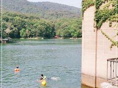 -紫霞湖公园