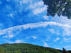 -武陵山森林公园