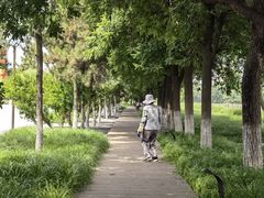 -汉长安城未央宫国家考古遗址公园