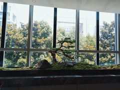 -同庆楼(天鹅酒家店)