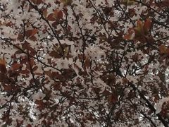 -南通博物苑-崇川人民公园