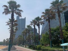 -金沙湖公园