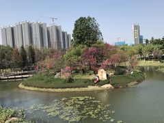 -映月湖公园