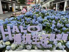 -HALO广场(梨园路店)