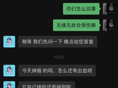 -瑞鹏宠物医院·骨科·猫科·内科(第一中心)