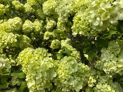 -白塘生态植物园