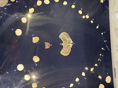 -青岛贝壳博物馆