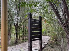 -西青郊野公园