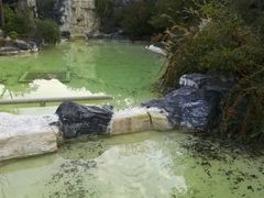 -吴淞炮台湾湿地森林公园烧烤区