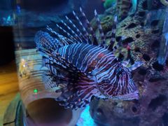 -沈阳海洋探索中心