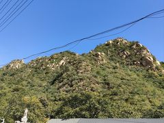 -大岭沟猕猴桃谷风景区