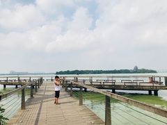 -金鸡湖桃花岛
