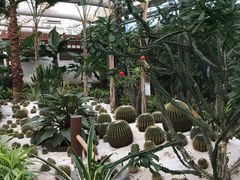 -河北霸州茗汤日月潭温泉