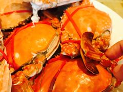 -富力希尔顿酒店·地阔自助餐厅