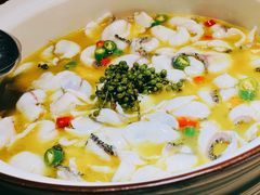 招牌青花椒-青花椒花椒鱼(新百店)
