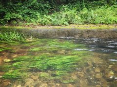 -大观园昆山峡漂流