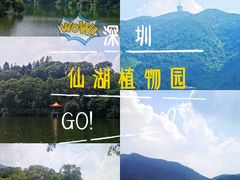 -深圳仙湖植物园-停车场