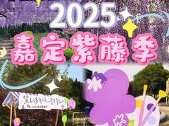 -嘉定紫藤园