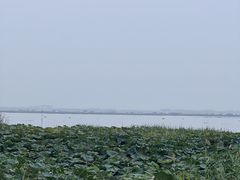 -七的湖·晚芳亭·阳澄湖农家菜·大闸蟹(莲花岛店)