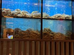 -珍宝海鲜JUMBO Seafood(尚嘉店)