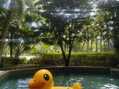 -海南清水湾莱佛士酒店