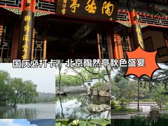 -陶然亭公园